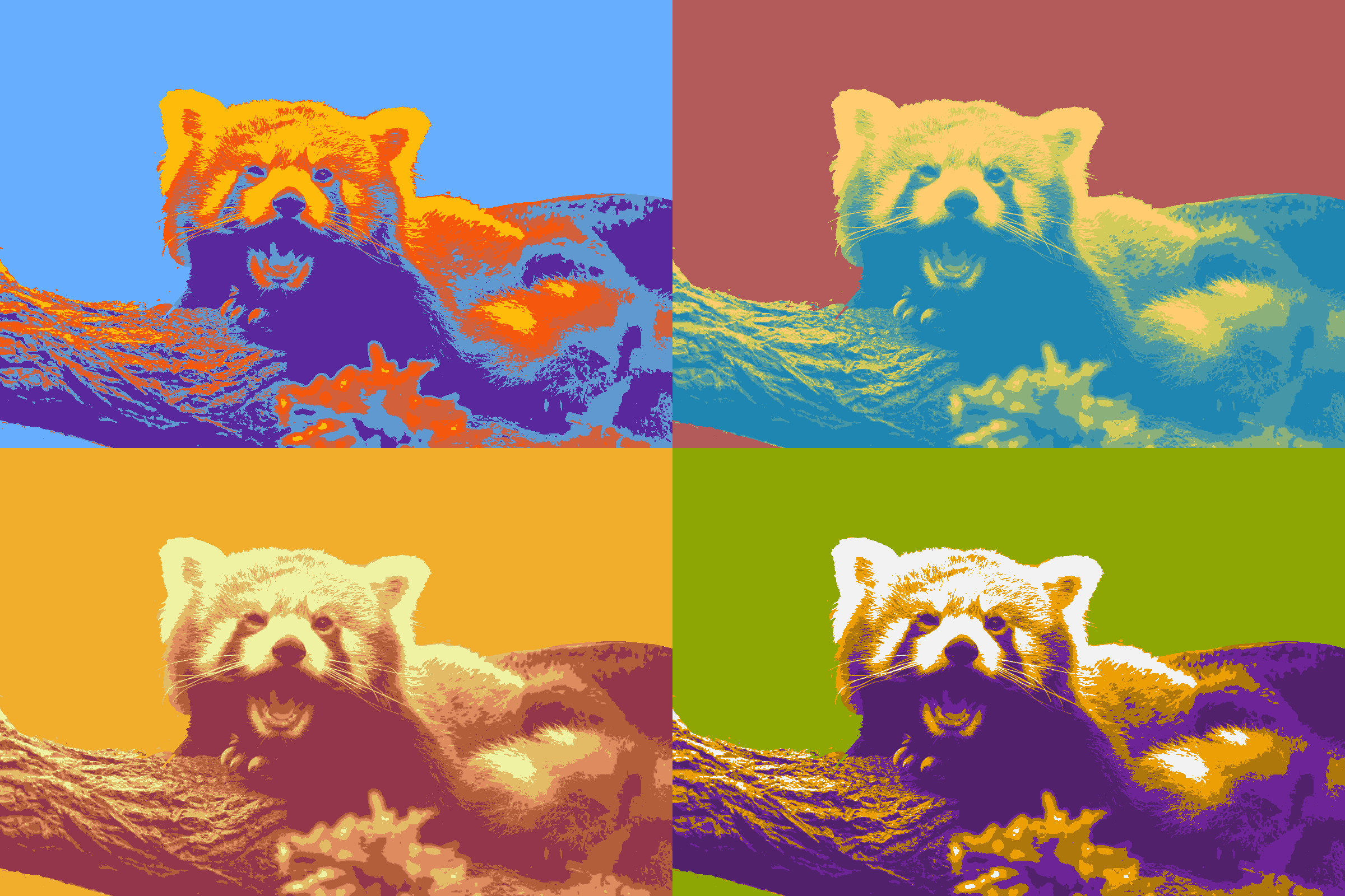 Four red pandas colored in orange and purple, green, orange, and brown